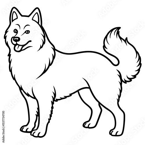 Canadian Eskimo Dog Vector on White