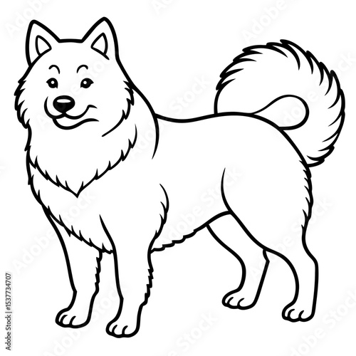 Canadian Eskimo Dog Vector on White