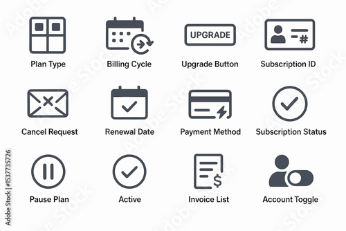 Subscription management icons: plan, billing, upgrade, payment, account features