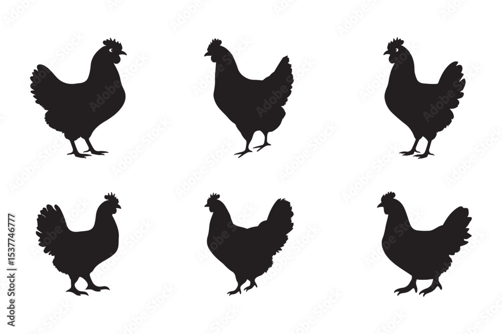 Fototapeta premium set of chicken silhouette icon vector illustration, rooster hen icon set vector on white background