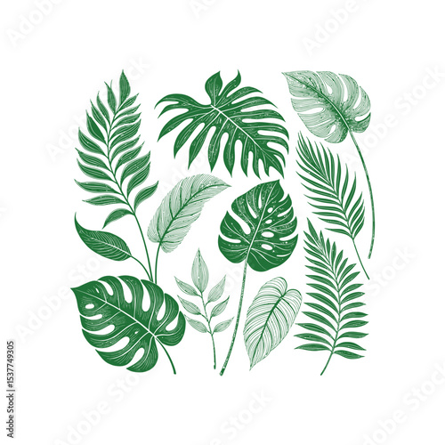Exotic Greenery: A vibrant composition of lush green tropical leaves, showcasing diverse shapes and textures in a stunning display of botanical beauty.