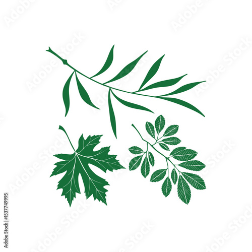 Elegant Botanical Silhouette: A minimalist graphic of three unique, verdant leaves, perfect for nature-themed designs and artistic expressions. 