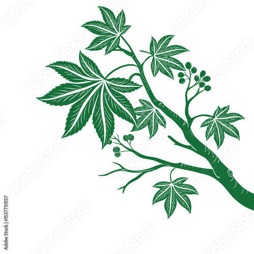 Botanical Branch: A detailed, verdant botanical illustration of a tree branch, complete with leaves and small buds, showcasing the intricacy of nature's design.