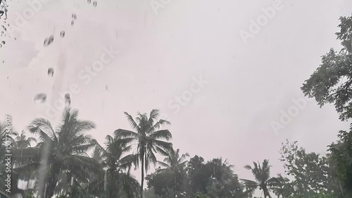 Heavy rain falls with black clouds and tree background
