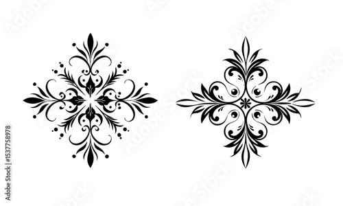 Black and White Floral Ornament Vector Set Two Intricate Designs Swirls Leaves