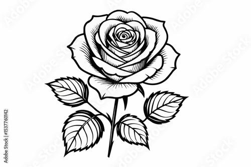 Detailed line art illustration of a blooming rose with leaves and stem on a white background