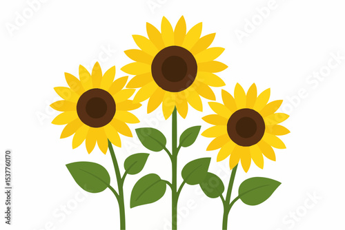 Illustration of three sunflowers with green stems and leaves against a white background design style