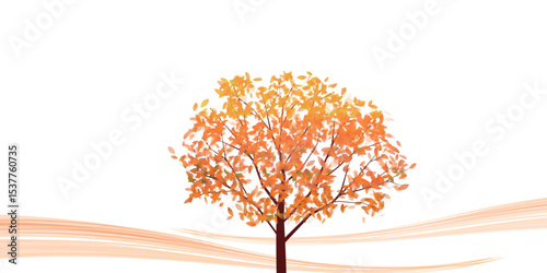 紅葉　もみじ　秋　背景	