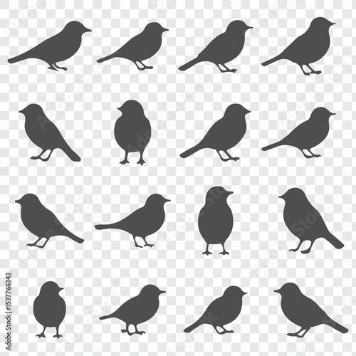 bird silhouettes, vector graphics, various poses, detailed bird shapes, minimalist design, ornithology illustration, nature clipart.