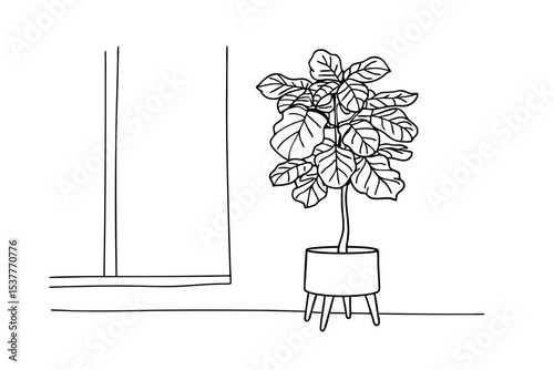 Minimalist line art illustration of a fiddle leaf fig plant in a modern pot by a window