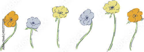 手描きのアネモネイラスト。草木と花の線画ベクターイラスト。今風のおしゃれな線画草木素材。