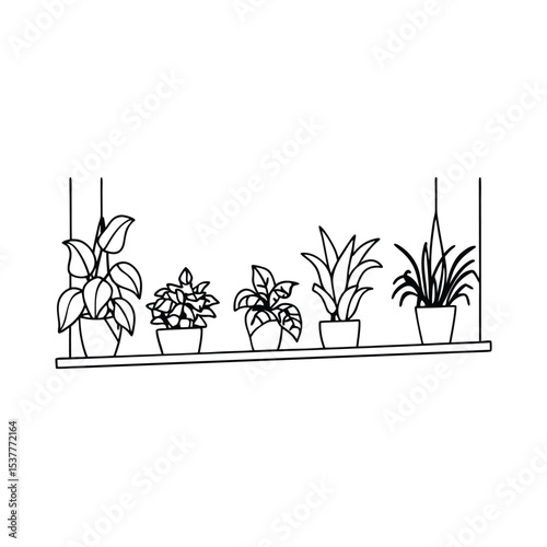 Line art illustration of potted houseplants on a shelf for home decor and design concepts