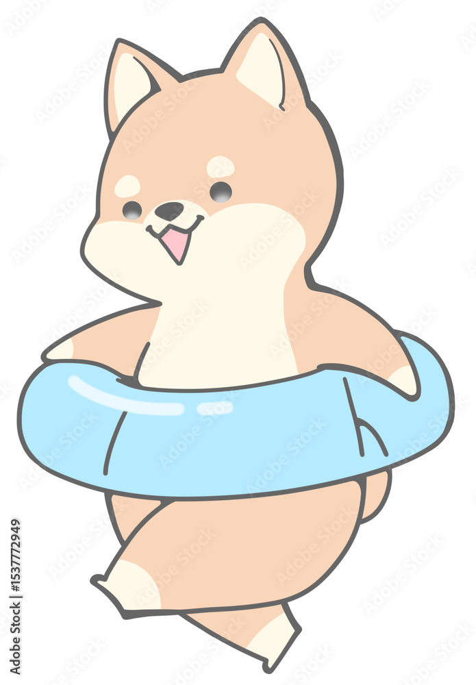 Obraz premium Shiba Inu with a float