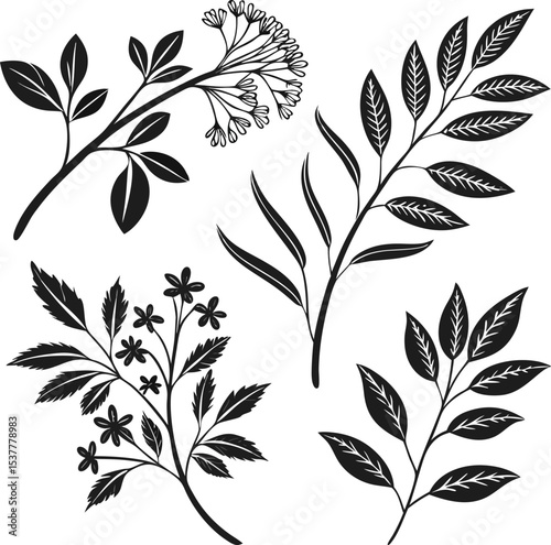 Set of Black and White Botanical Elements