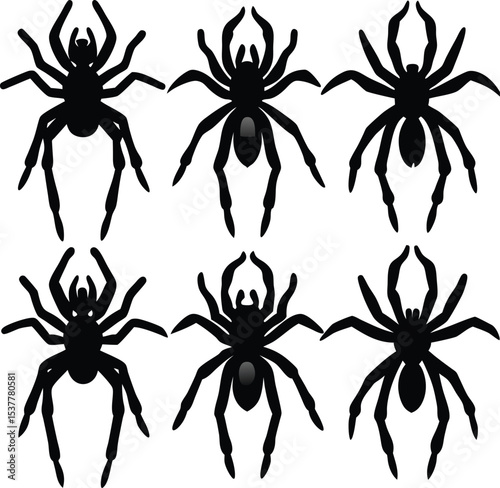 Six Black Spider Silhouettes