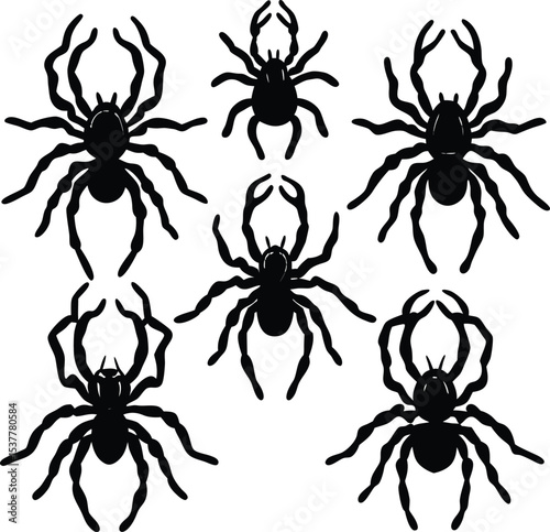 Six Spider Silhouettes