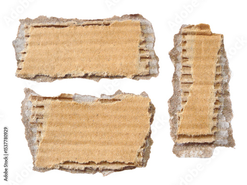 Pieces of torn or cut brown cardboard isolated design element on transparent background.
