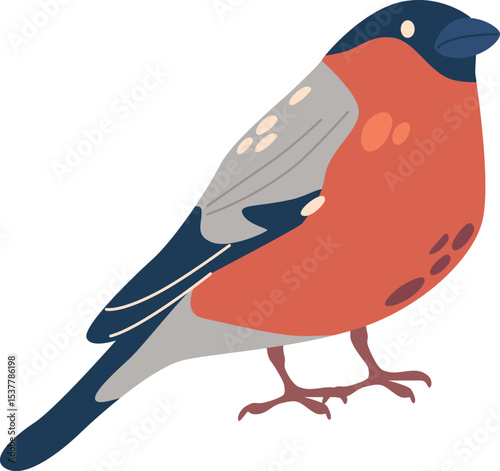 Bullfinch autumn bird vector illustration