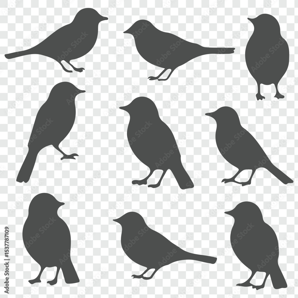 Fototapeta premium The silhouettes of birds on transparent background. 