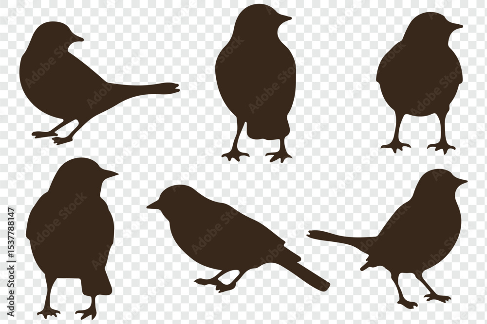 Fototapeta premium set of silhouettes of birds. eps 10.