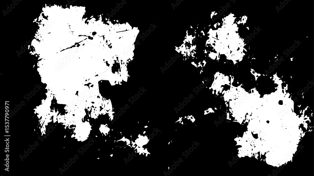Fototapeta premium Grunge Ink Splatter Texture Background, Abstract Black and White Vector Overlay