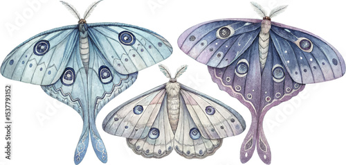 Watercolor Moon Moths