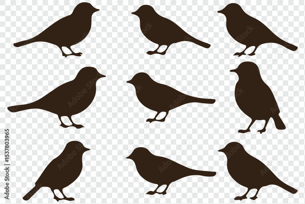 Fototapeta premium Set of bird silhouettes. Vector elements for design. perfect for logo design, art projects, and graphic design.