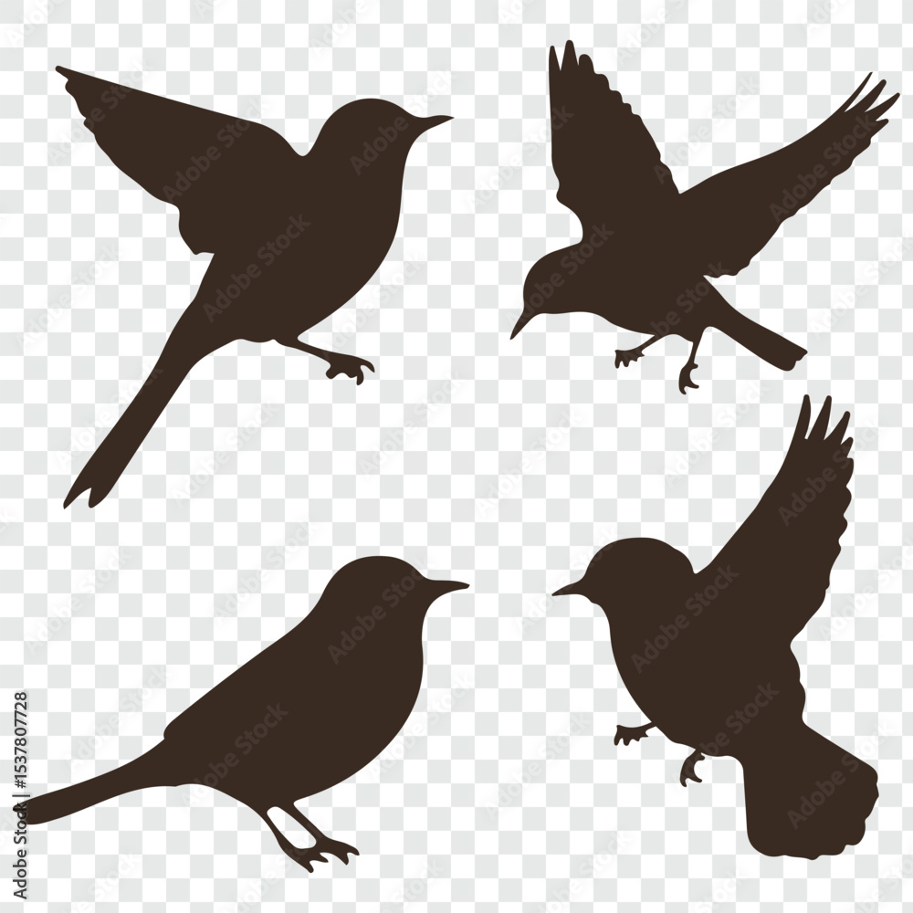 Fototapeta premium birds silhouette isolated on transparent clear background. Cute various simple contour birds songbird collection.