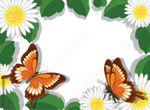 Butterflies and Daisies Vector Illustration