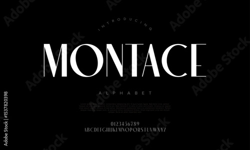 Clean and classy all-caps display font with high contrast, perfect for fashion brands and magazine layouts