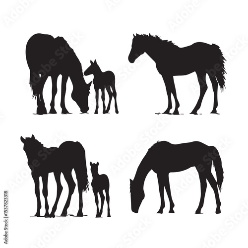baby horse silhouette set, Black & White silhouette set