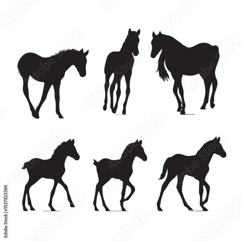 baby horse silhouette set, Black & White silhouette set
