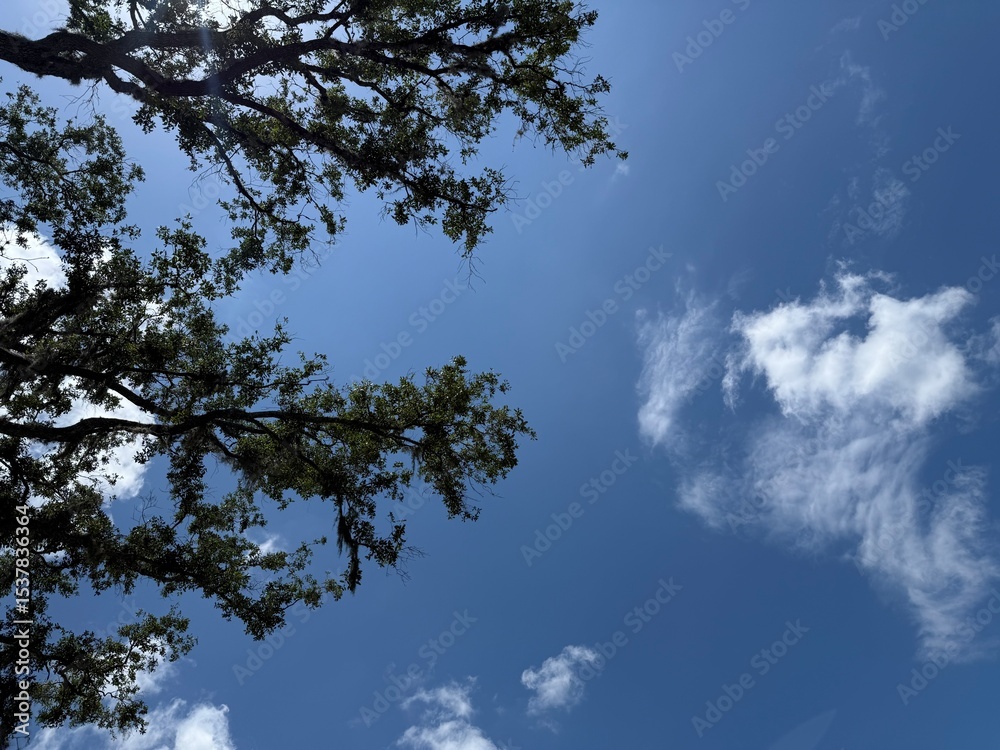 Obraz premium clouds and sky