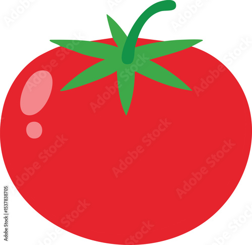 tomato vector illustration