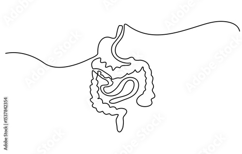 Continuous one line drawing of Human digestion. Single line drawing illustration of Human Digestive. Human anatomical concept vector art. Doodle line illustration.