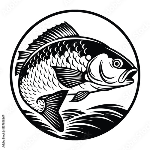 silhouette fish seabass on white background, vector illustration