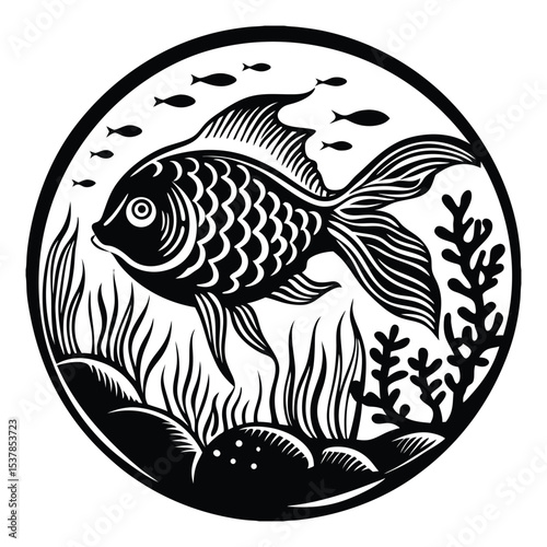 Skipjack shad alosa chrysochloris, fish from North America