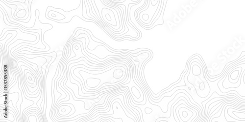 Topographic seamless map pattern with contour lines. Abstract geographic elevation design, lines sea map modern white background. 