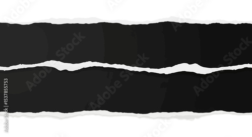Torn Paper Edge: Ripped Black Texture on White