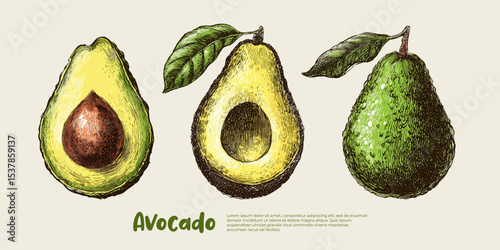 Avocado cartoon minimalistic vector. Healthy food concept