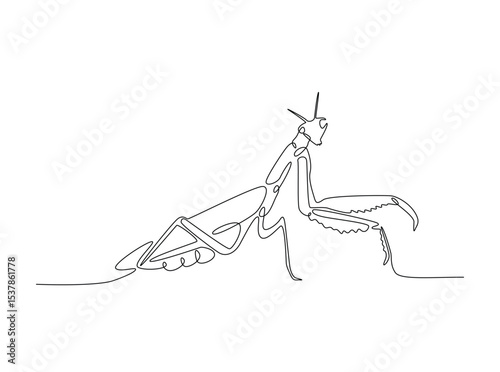 Praying mantis in single outline illustration. Continuous line art drawing of mantis. Editable stroke.