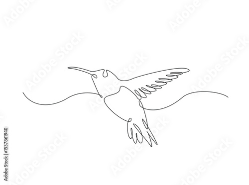 Hummingbird fly in single outline illustration. Continuous line art drawing of hummingbird or colobri. Editable stroke.
