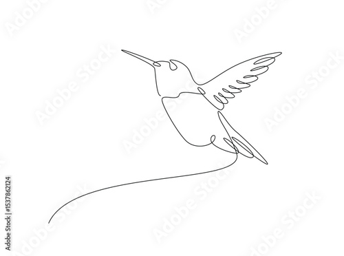 Hummingbird fly in single outline illustration. Continuous line art drawing of hummingbird or colobri. Editable stroke.