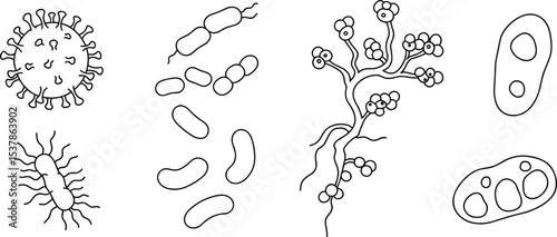 Microscopic virus bacteria fungi protozoa cell structure illustration, medical educational scientific pathogen diagram black outline isolated on white

 flat vector illustration