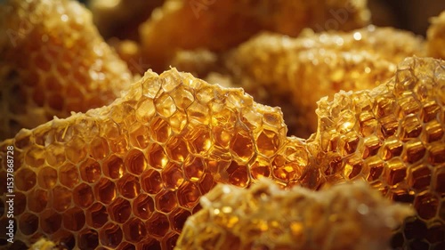 Natural honeycomb showcases sweet golden texture and intricate patterns up close