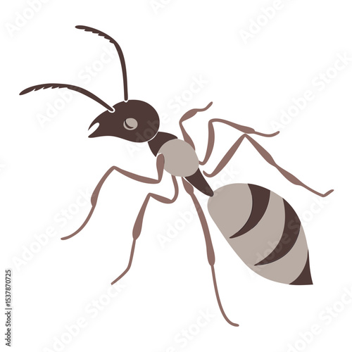 ant
