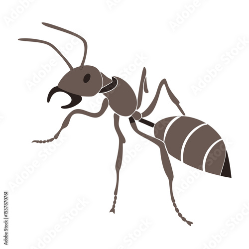 ant isolated