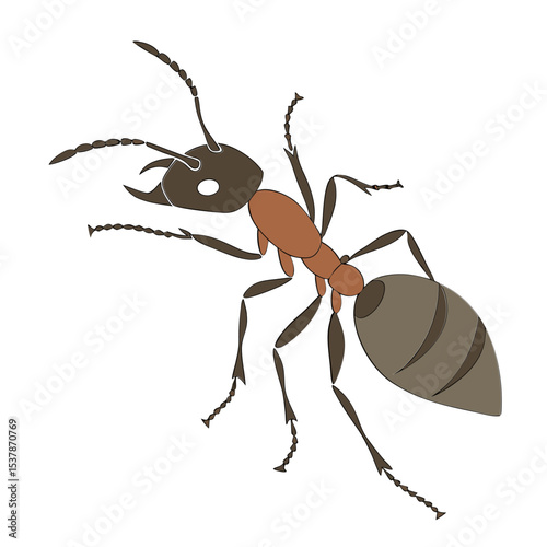 ant on white