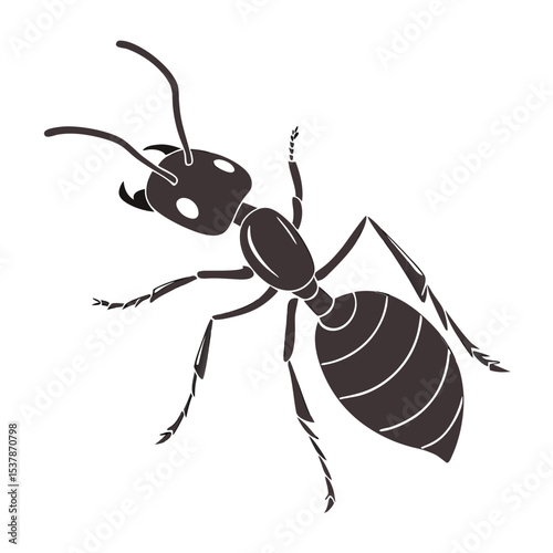 ant vector illustration