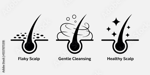 Scalp Care Vector Icons. Flaky Scalp, Gentle Cleansing, and Healthy Hair FolliclesScalp Care Vector Icons. Flaky Scalp, Gentle Cleansing, and Healthy Hair Follicles
